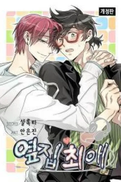 Cover of The Voice Next Door