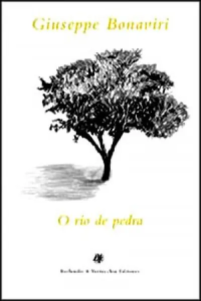 Cover of O rio de pedra