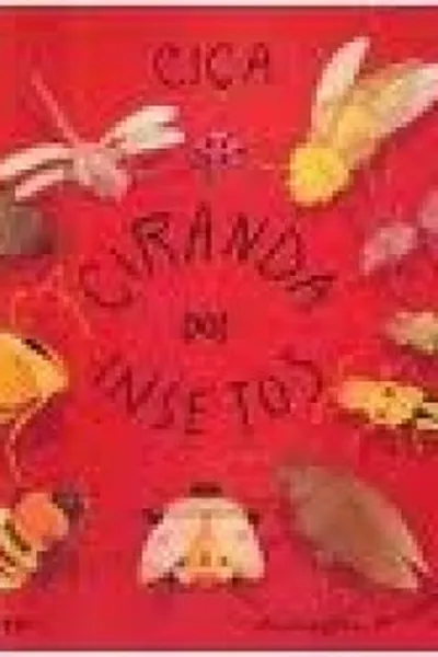 Cover of Ciranda dos Insetos