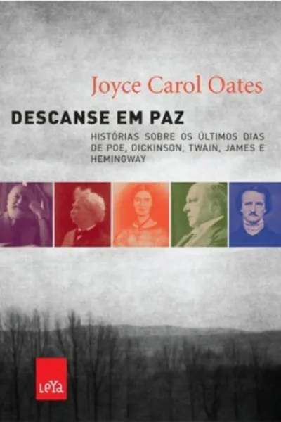 Cover of Descanse em Paz