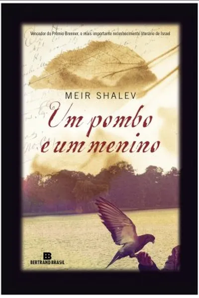 Cover of Um pombo e um menino