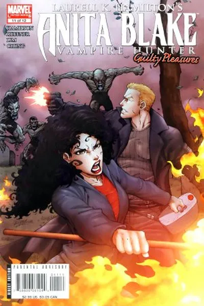 Cover of Anita Blake - Vampire Hunter