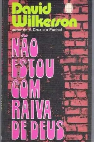 Cover of Não estou com raiva de Deus