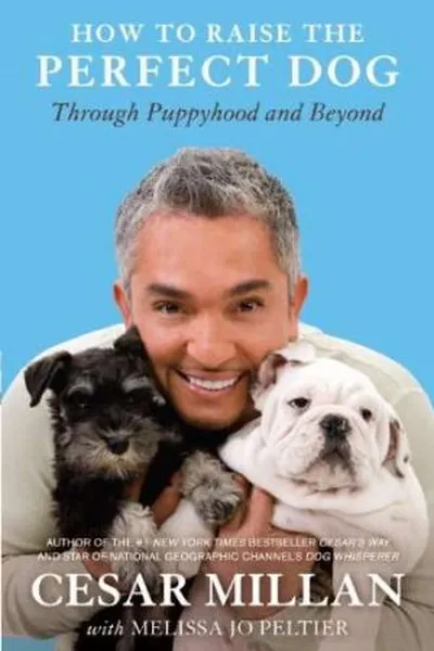 Cover of How to Raise the Perfect Dog