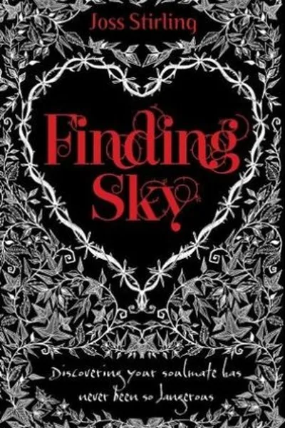 Cover of Finding Sky