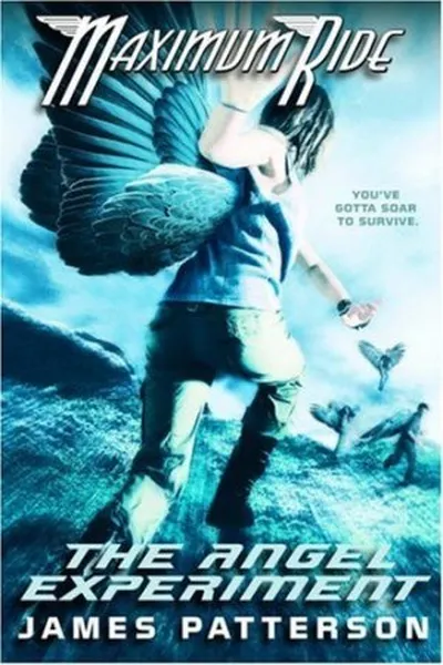 Cover of The Angel Experiment