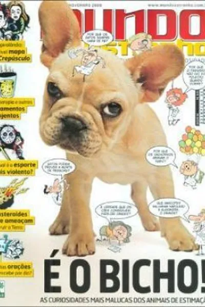 Cover of Mundo Estranho # 93