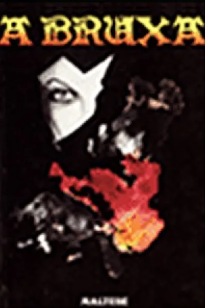 Cover of A Bruxa