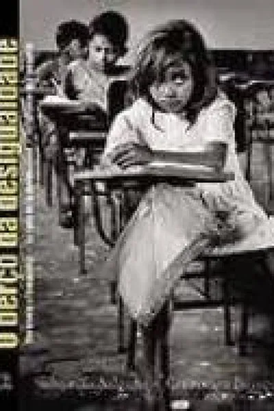 Cover of O berço da desigualdade