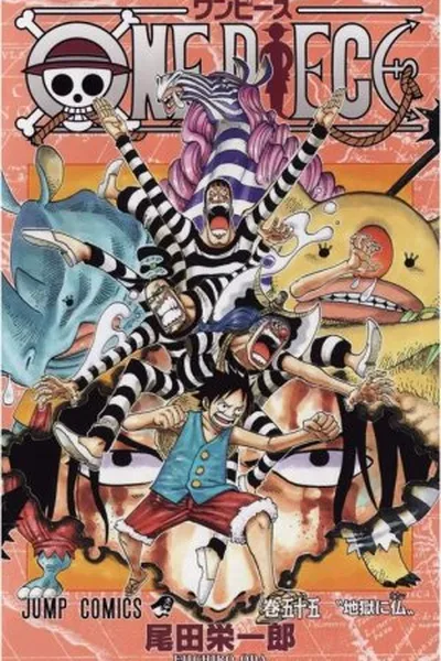 Cover of One Piece v55