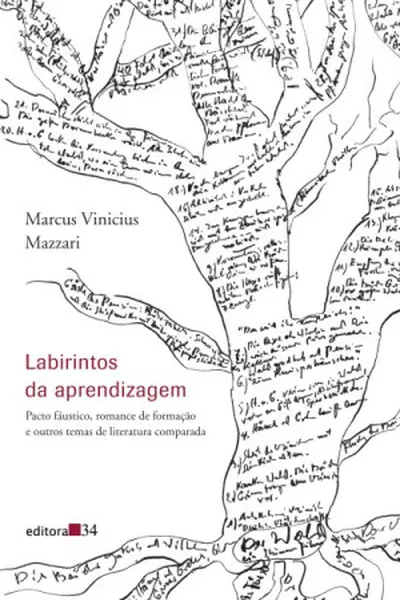 Cover of Labirintos da aprendizagem