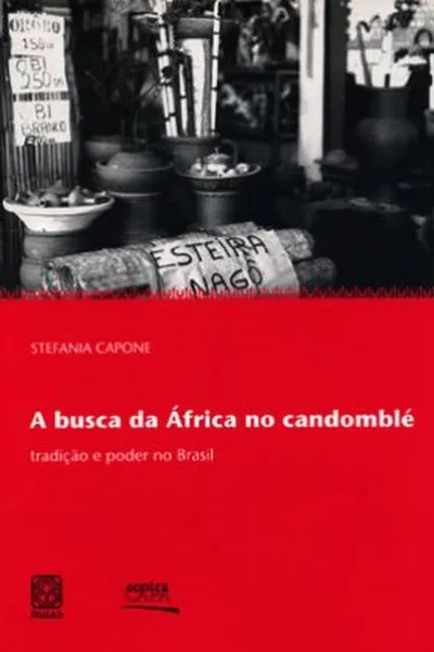 Cover of A busca da África no candomblé