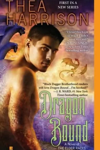 Cover of Dragon Bound