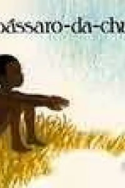 Cover of O pássaro-da-chuva