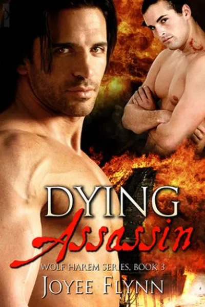 Cover of Dying Assassin