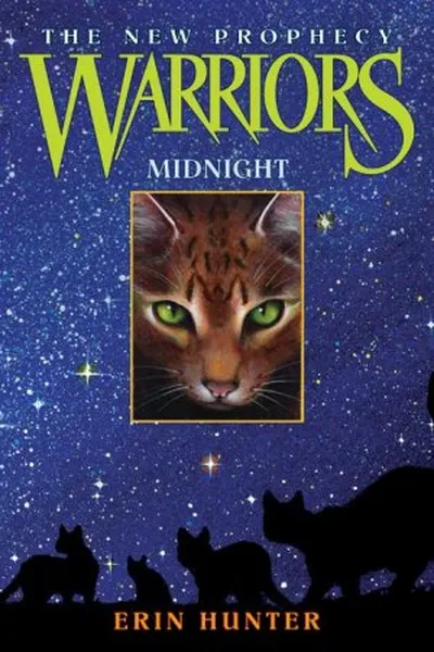 Cover of Midnight