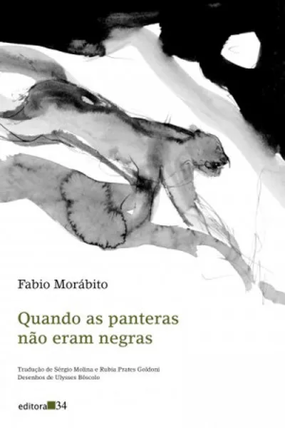 Cover of Quando as panteras não eram negras