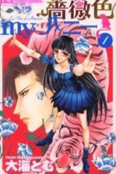 Cover of Barairo My Honey