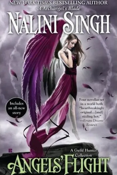 Cover of Angels' Flight