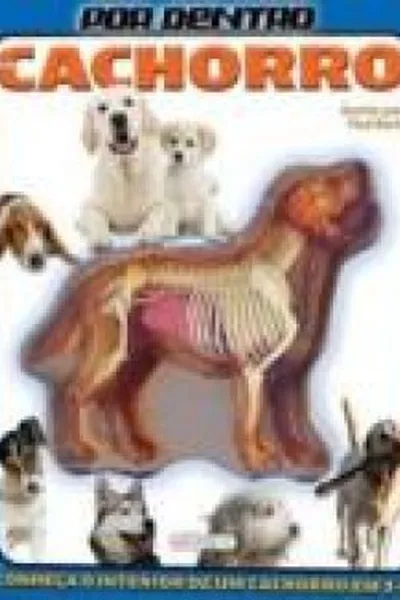 Cover of POR DENTRO DE UM CACHORRO