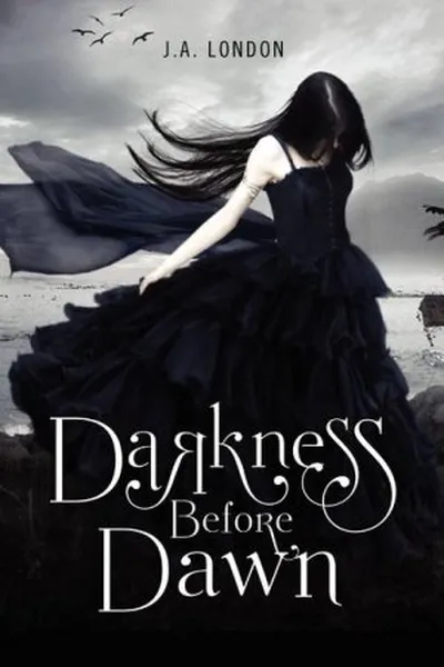 Cover of Darkness Before Dawn