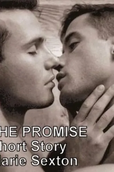 Cover of The Promise