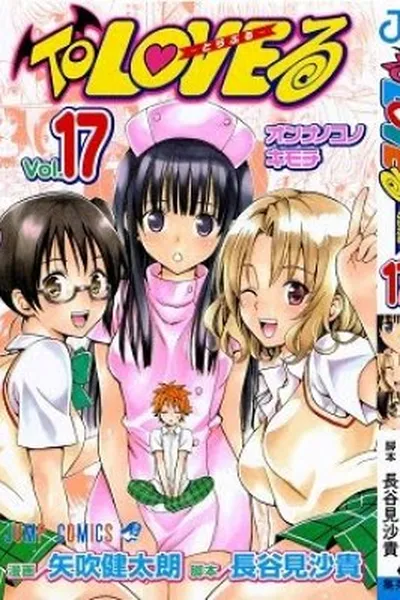Cover of To Love-Ru #17