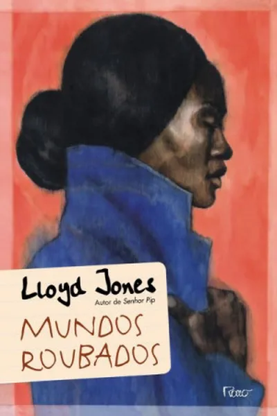 Cover of Mundos roubados