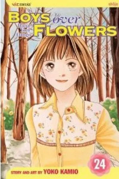 Cover of Boys Over Flowers 24