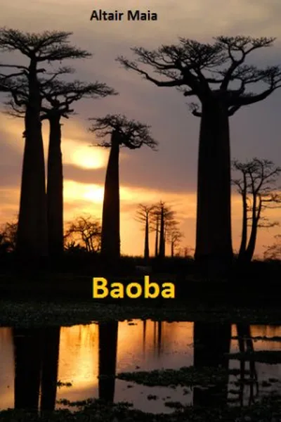 Cover of Baobá