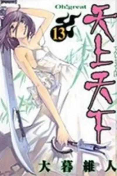 Cover of Tenjou Tenge vol.13