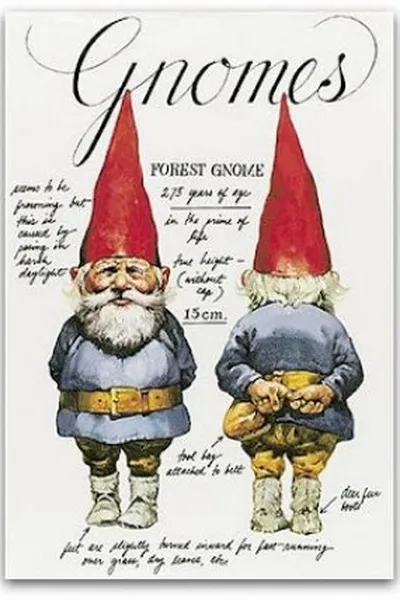 Cover of Gnomes