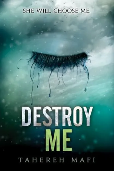 Cover of Destroy Me
