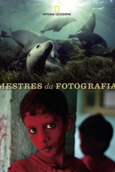 Cover of Mestres da Fotografia