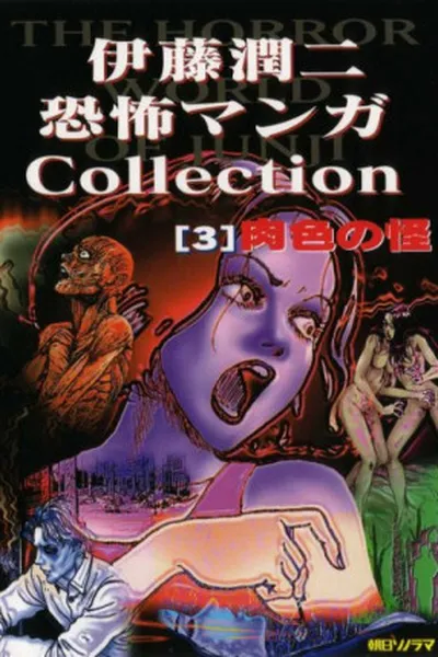 Cover of Flesh Colored Horror