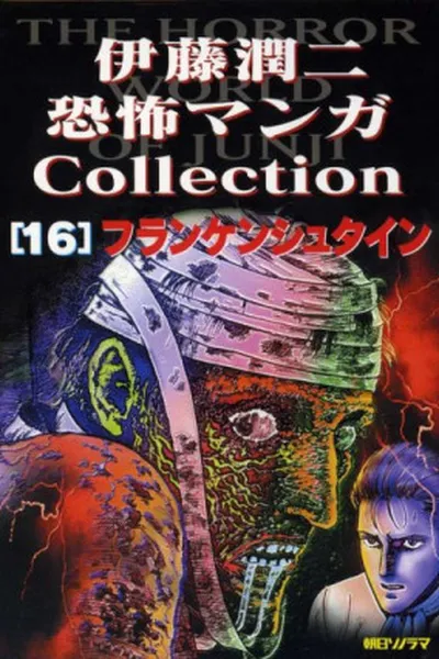 Cover of Frankenstein