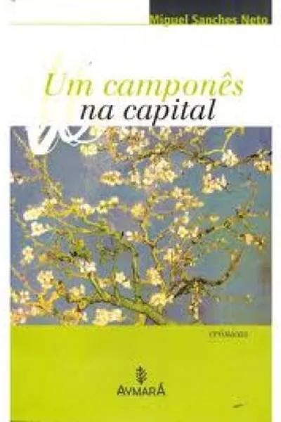 Cover of Um camponês na capital