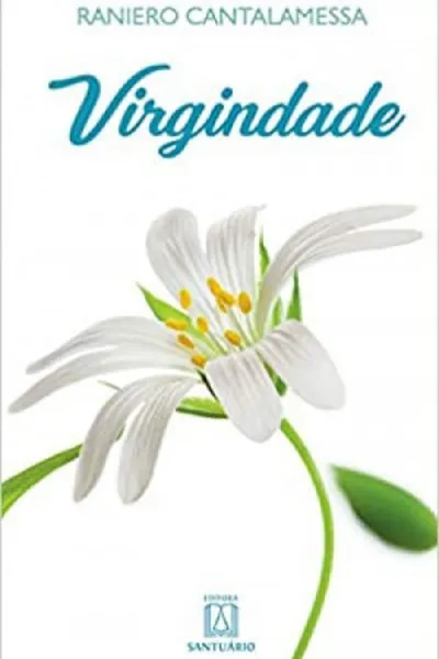 Cover of Virgindade