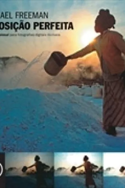 Cover of Exposição Perfeita