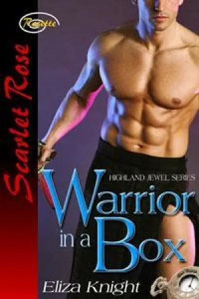 Cover of Warrior in a box (Guerreiro em uma Caixa)