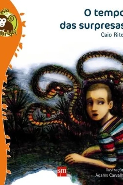 Cover of O tempo das surpresas