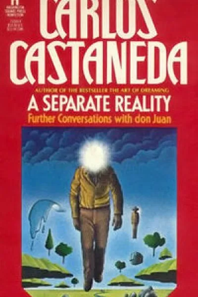 Cover of A Separate Reality