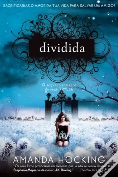 Cover of Dividida