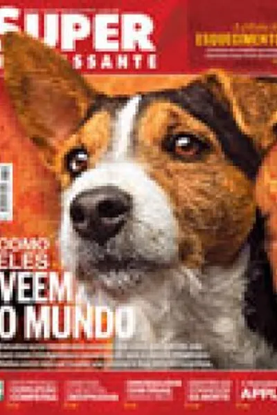 Cover of Superinteressante N° 310 (Outubro de 2012)