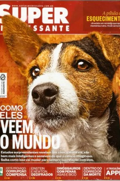 Cover of Super Interessante 310