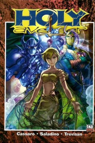 Cover of Holy Avenger D20