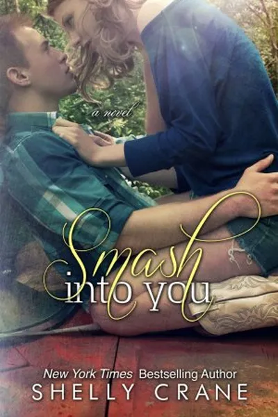 Cover of Smash Into You