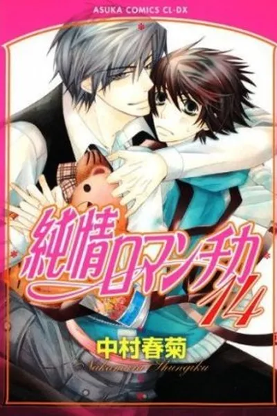 Cover of Junjou Romantica #14