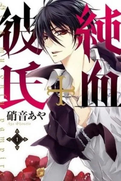 Cover of Junketsu + Kareshi - Vol. 1