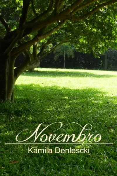 Cover of Novembro